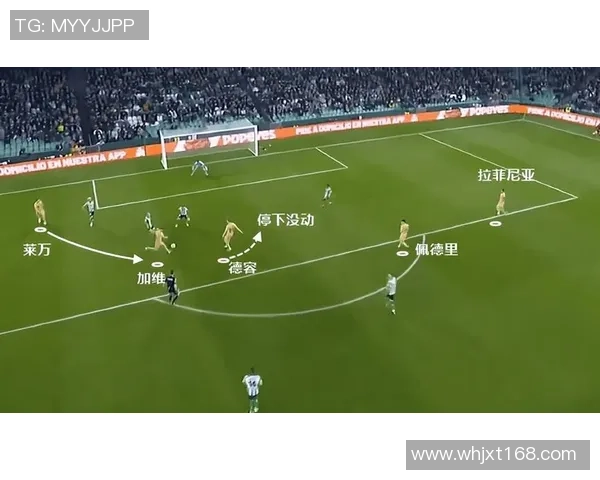 北京网球队速度对比独家深度解析展现运动员实力与战术优势