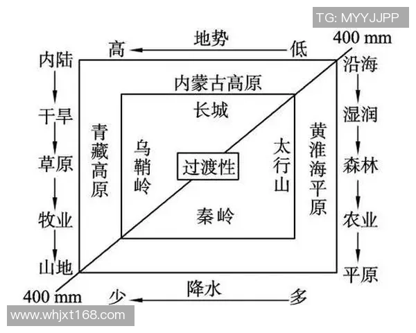 北京排球队整体压制体系解析与战术运用的深度探讨